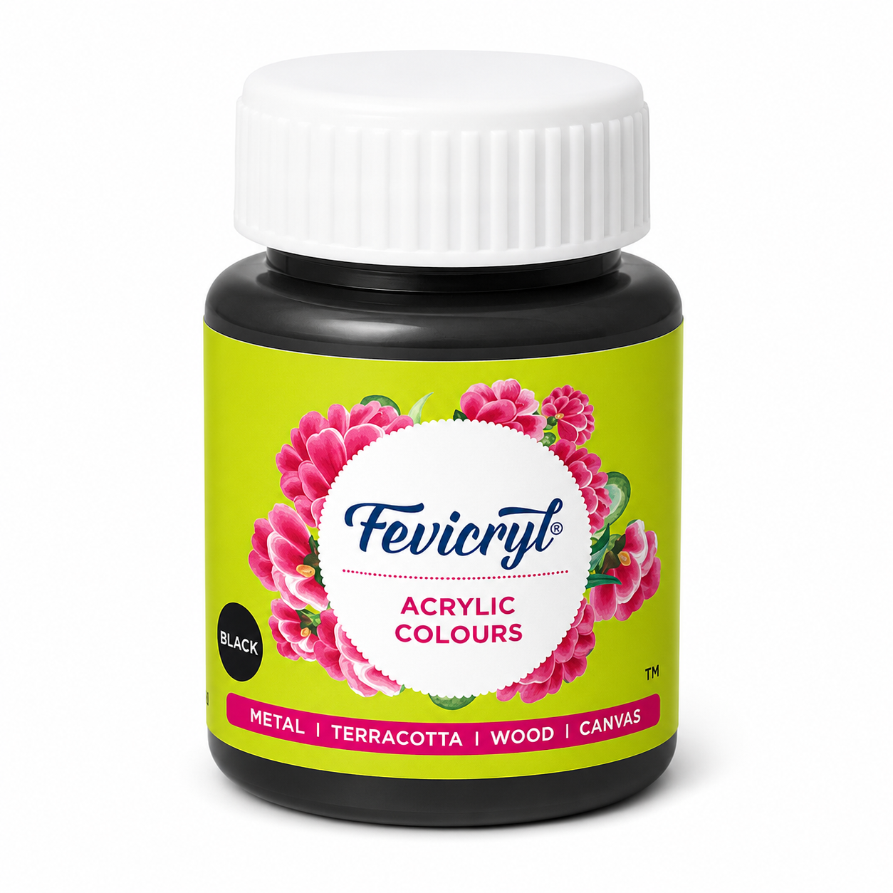 Fevicryl Acrylic Colour 100 ml - Acrylic Paint for Canvas, Wood, Terracotta, Metal & DIY Crafts | Pidilite Hobby Ideas