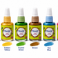 Fevicryl Glass Colours Set – 6 Water-Based Glass Paints for Glass, Acrylic, Mirrors & DIY Crafts | Pidilite Hobby Ideas
